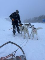 Husky-Schlittenfahrt