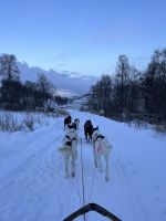 Husky-Schlittenfahrt