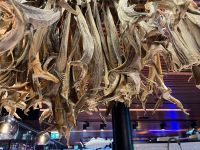 Fischhalle in Bergen 