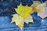 Bergen - Herbststimmung