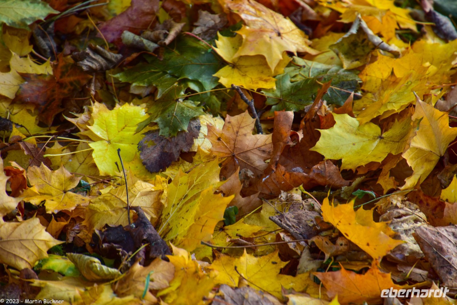 Bergen - Herbststimmung
