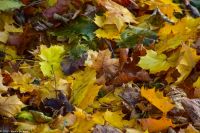 Bergen - Herbststimmung