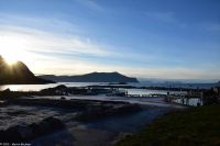 Ausflug Ålesund Akvarium - wunderschön am Fjord gelegen