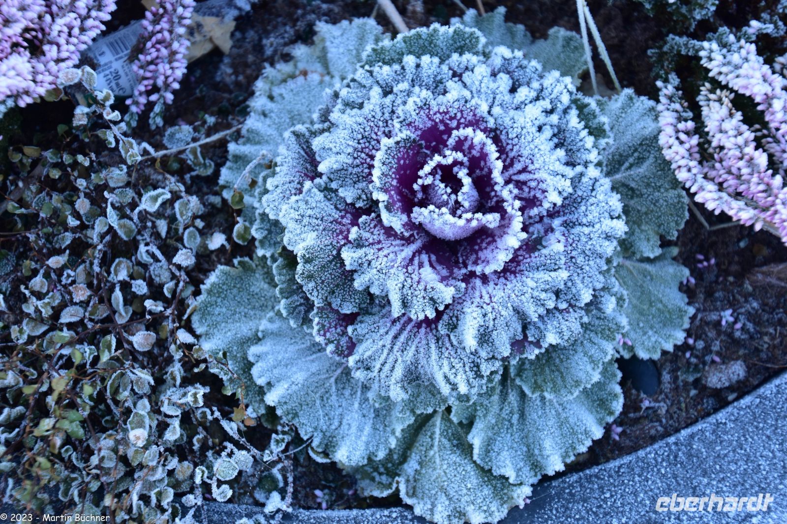Trondheim - winterliche Morgenstimmung im Stadtteil Bakklandet