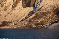 Wunderbare winterliche Arktis an der magischen Helgelands-Küste in der Provinz Nordland - Sørfugløya auf der Insel Fugløya