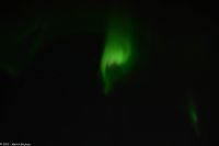 Skjervøy geht immer - Polarlicht!