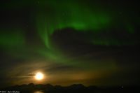 Skjervøy geht immer - Polarlicht mit Mond!