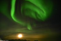 Skjervøy geht immer - Polarlicht mit Mond!