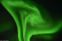 Skjervøy geht immer - Polarlicht!