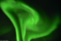 Skjervøy geht immer - Polarlicht!