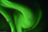 Skjervøy geht immer - Polarlicht!