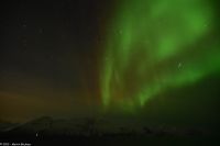 Skjervøy geht immer - Polarlicht!