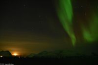 Skjervøy geht immer - Polarlicht mit Mond!