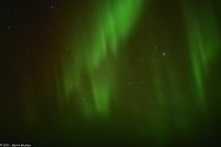 Skjervøy geht immer - Polarlicht!