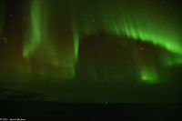 Skjervøy geht immer - Polarlicht!