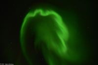 Skjervøy geht immer - Polarlicht!