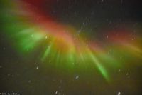 Skjervøy geht immer - seltenes rotes Polarlicht!