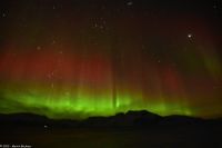 Skjervøy geht immer - seltenes rotes Polarlicht!