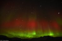 Skjervøy geht immer - seltenes rotes Polarlicht!