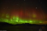 Skjervøy geht immer - seltenes rotes Polarlicht!