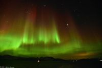Skjervøy geht immer - Polarlicht!
