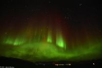 Skjervøy geht immer - Polarlicht!