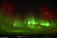 Skjervøy geht immer - Polarlicht!