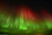 Skjervøy geht immer - Polarlicht!