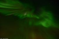 Skjervøy geht immer - eine Corona - nicht der Virus!!