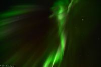 Skjervøy geht immer - eine Corona - nicht der Virus!!