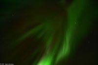 Skjervøy geht immer - Polarlicht!!