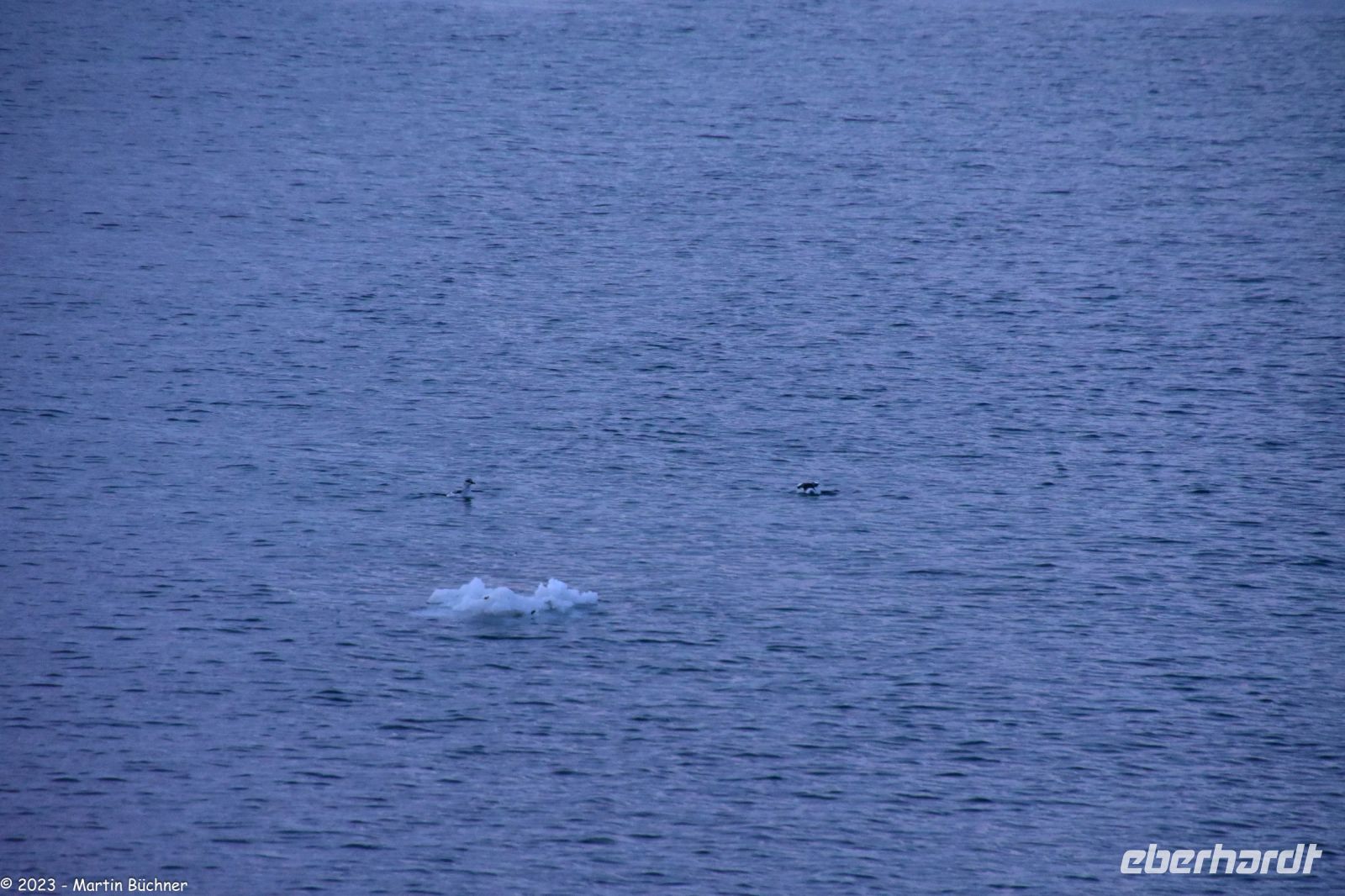 Hammerfest in der Polarnacht - ein Eisberg?!