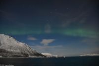Skjervøy geht immer - Polarlicht über verschneiter Winterlandschaft