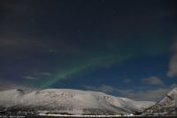 Skjervøy geht immer - Polarlicht über verschneiter Winterlandschaft