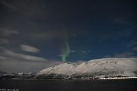 Skjervøy geht immer - Polarlicht über verschneiter Winterlandschaft