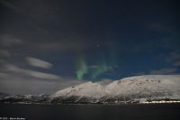 Skjervøy geht immer - Polarlicht über verschneiter Winterlandschaft