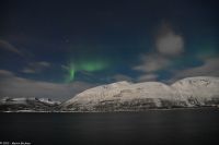 Skjervøy geht immer - Polarlicht über verschneiter Winterlandschaft