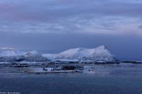 Vesterålen Archipel - Risøyhamn 