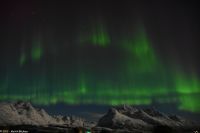 Polarlicht über im Raftsund zwischen Vesterålen und Lofoten