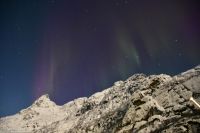 Seltenes lila Polarlicht im magischen Trollfjord (Lofoten)