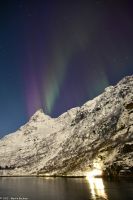 Seltenes lila Polarlicht im magischen Trollfjord (Lofoten)