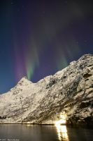Seltenes lila Polarlicht im magischen Trollfjord (Lofoten)