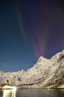 Seltenes lila Polarlicht im magischen Trollfjord (Lofoten)
