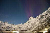 Seltenes lila Polarlicht im magischen Trollfjord (Lofoten)
