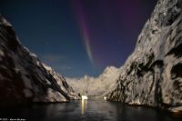 Seltenes lila Polarlicht im magischen Trollfjord (Lofoten)