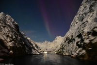 Seltenes lila Polarlicht im magischen Trollfjord (Lofoten)