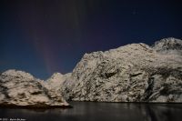 Seltenes lila Polarlicht im magischen Trollfjord (Lofoten)