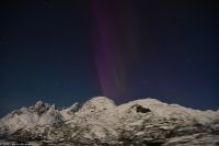 Seltenes lila Polarlicht im magischen Trollfjord (Lofoten)