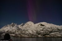 Seltenes lila Polarlicht im magischen Trollfjord (Lofoten)