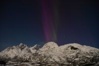 Seltenes lila Polarlicht im magischen Trollfjord (Lofoten)